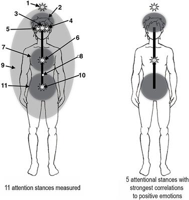 Self-Regulation of Seat of Attention Into Various Attentional Stances Facilitates Access to Cognitive and Emotional Resources: An EEG Study